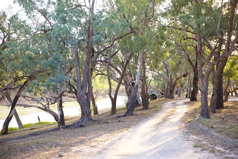 Four Mile Reserve The Darling River Run