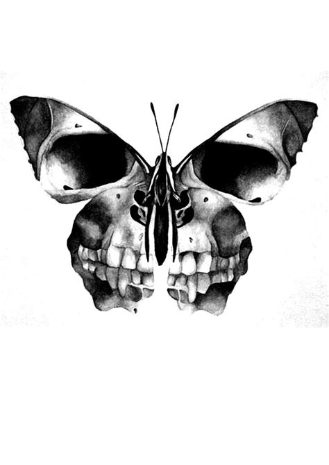 Scull Butterfly Skull Butterfly Tattoo Butterfly Tattoo Girl Skull