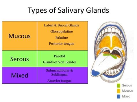 Imaging Of Salivary Gland Tumours