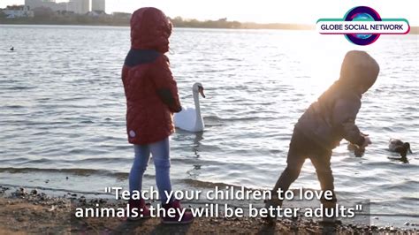 Teach Your Children To Love Animals They Will Be Better Adults Youtube