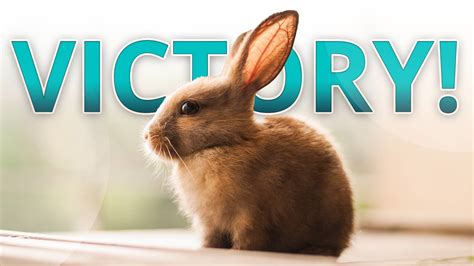 Victory For Animals Us Senate Drops Harmful Cosmetics Provision