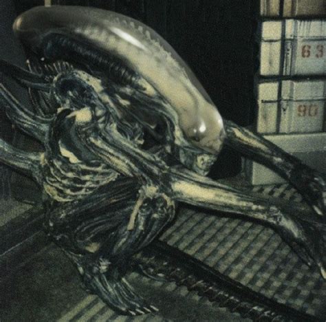 Neill Blomkamps Alien Sequel On Hold Pending Prometheus 2 Alien Film Alien 1979 Alien Vs