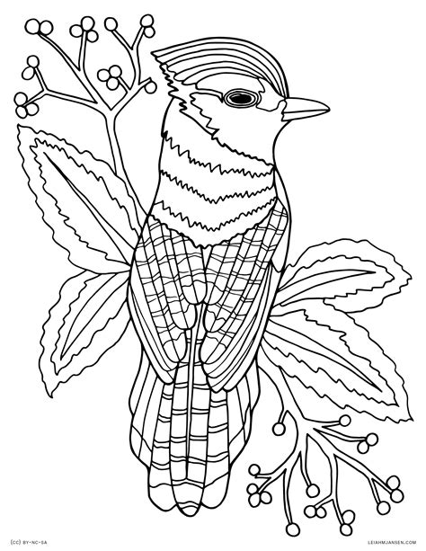 Detailed Animal Coloring Pages For Adults at GetColorings.com | Free