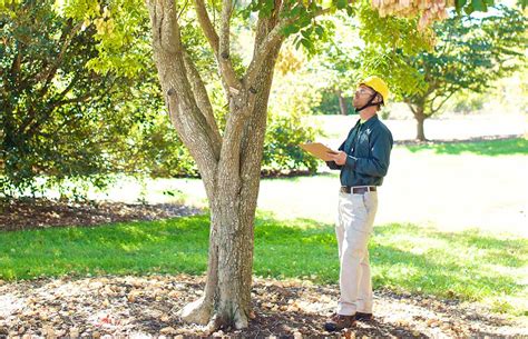 Bartlett Tree Experts Tree Risk Assessments