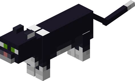 Minecraft Black And White Cat Hot Sex Picture