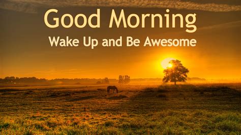 Start Your Day Right Good Morning Encouraging Quotes