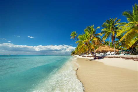 10 Cosas Que Hacer En Punta Cana Además De Disfrutar De Tu Resort Rumbo