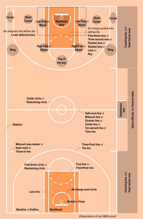Les Tailles Des Terrains De Basketball De Cour Arrière