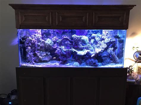 210 Gallon Oceanic Reef Tankaquarium For Sale In Conroe Tx Offerup