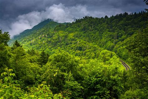 Taking A Drive Through Newfound Gap In The Great Smoky Mountains