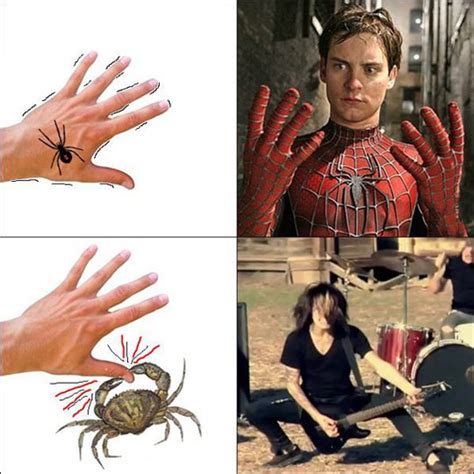 I work with spiders for a living, and i've never been bitten by one. Spider Or Crab