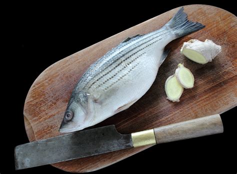 the best ways to cook stripe bass spentapp