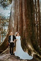2021阿里山神木下婚禮1日盛大舉行 首見金婚夫婦 | 中華日報|中華新聞雲