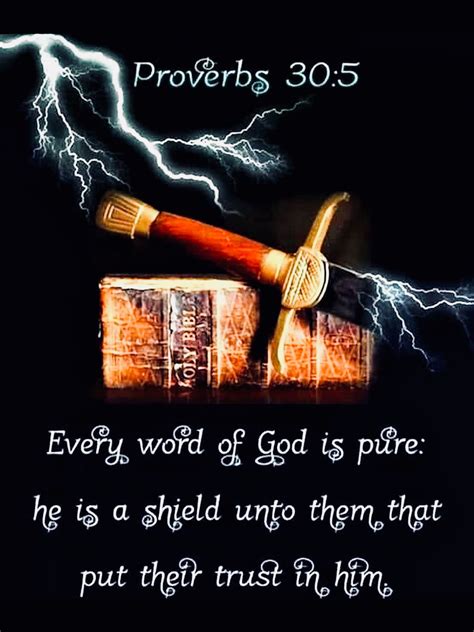 Every Word Of God Is Pure He Is A Shield Unto Them That Put Their