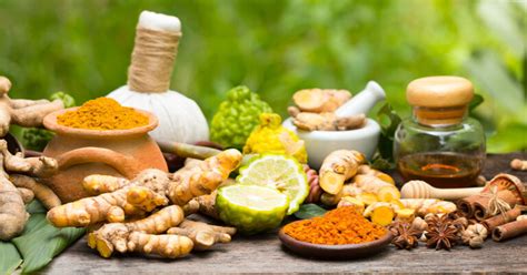 Herbal Medicines Common Usage And Benefits