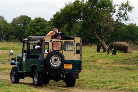 Yala National Park Wildlife Sri Lanka Travel