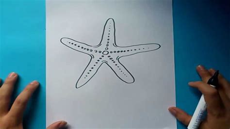 Como Dibujar Una Estrella De Mar Paso A Paso Facil Theneave