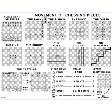 Clipart Chess Pieces Movements