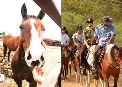 Poyrazın da etkili olduğu bölgede giderek genişleyen alevlere. Ausflüge und Aktivitäten in Belek | Beste Touren Buchen ...