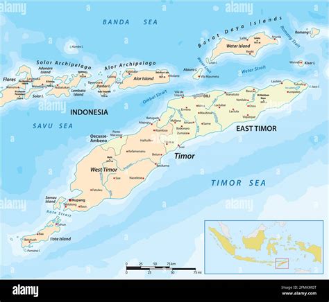 Mapa De La Isla De Timor Timor Oriental E Indonesia Imagen Vector De
