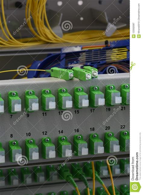 Optic Fiber Cable And Splicing The Fibers On Spice Tray Stock Image