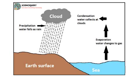 What Are The Different Types Of Rainfall Science Query