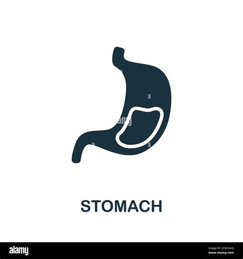 Stomach Icon Simple Element From Internal Organs Collection Creative