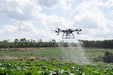 Agricultural Spraying Drones Dji Agras T The Precision Agricultural Drone Dronehrp Dji