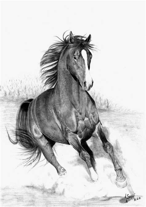 Running Horse By Sthmore On Deviantart Horse Drawings Horse Sketch