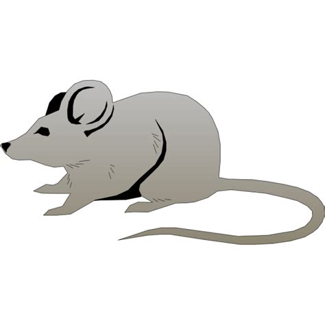Gray Mouse Png Svg Clip Art For Web Download Clip Art Png Icon Arts