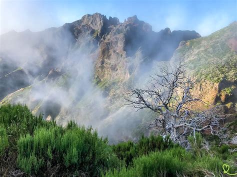 40 Best Landscapes In Madeira In Photos