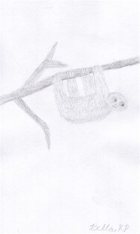Check spelling or type a new query. My 3 toed sloth drawing! | Sloth drawing, Sloth, Cute animals