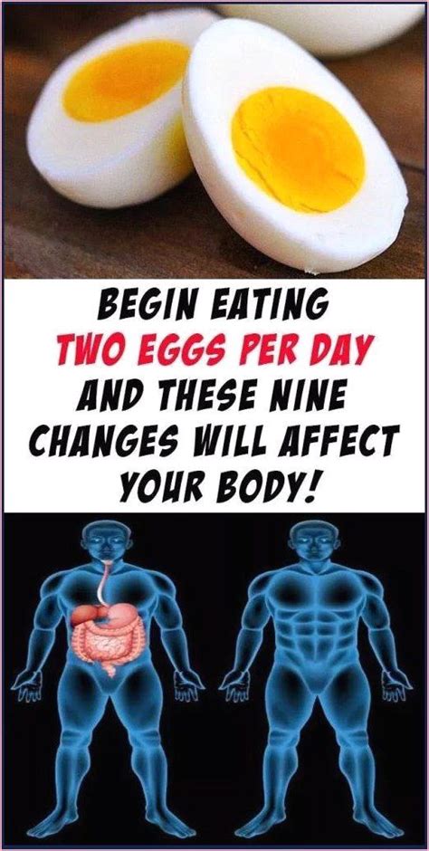 Heres What Happens To Your Body When You Eat Two Eggs A My Xxx Hot Girl
