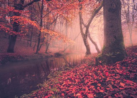 Pro Tips For Stunning Autumn Images