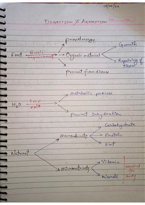 Solution Digestion And Absorption Handwriting A To Z Notes Notes