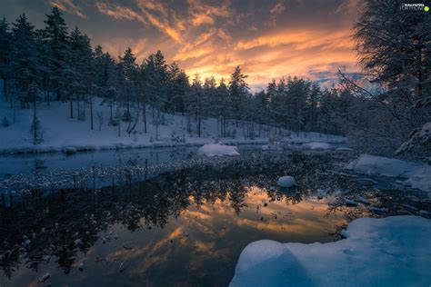 Ringerike Municipality Norway Winter Snow Trees Viewes Lake