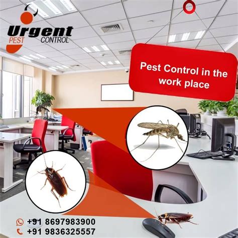 Turner pest control orlando — best pest control services contact us for complete pest control services for your orlando home or business. #Pest #Control in the #work #place.. Call us at +91 ...