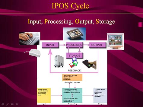 Computer Maniac Computer Fundamentals Ipos Cycle