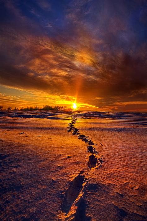 Studioview A Journey To The Shining Star By Phil Koch Sunset