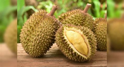 Use this info to help with healthy weight loss. Health Benefits Of Durian Fruit
