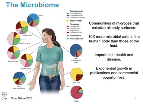 The Microbiome How It Is Important In Health And Disease