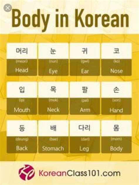 Korean Verbs Korean Slang Korean Phrases Korean Quotes Easy Korean