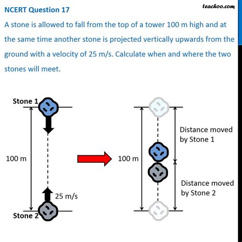 Ncert Q17 A Stone Is Allowed To Fall From The Top Of A Tower 100 M