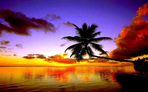 Tropical Beach Sunset Wallpaper Free Desktop 8 Hd Wallpapers