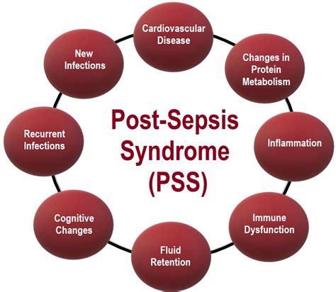 What Is Sepsis Syndrome