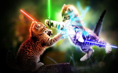 Jedi Cats Wallpaper Kittens Cutest Cat Wallpaper