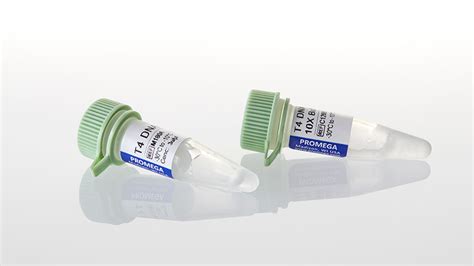 The ligation conditions given in this protocol are based on the conditions used at promega for quality control of lambda vectors with sticky ends. T4 DNA Ligase