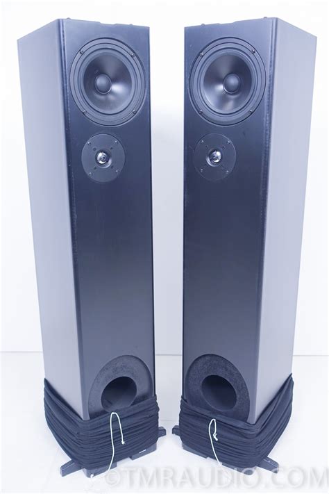 Definitive Technology BP10B Floorstanding Speakers; Excellent Working ...