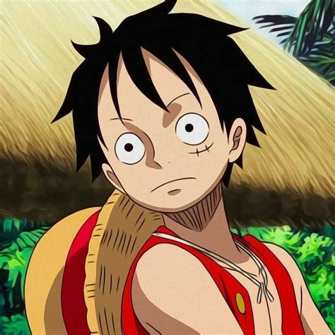 Monkey D Luffy Anime Character From One Piece