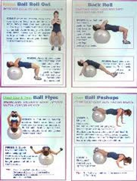 Core Stability Exercises For Lower Back Pain Pdf